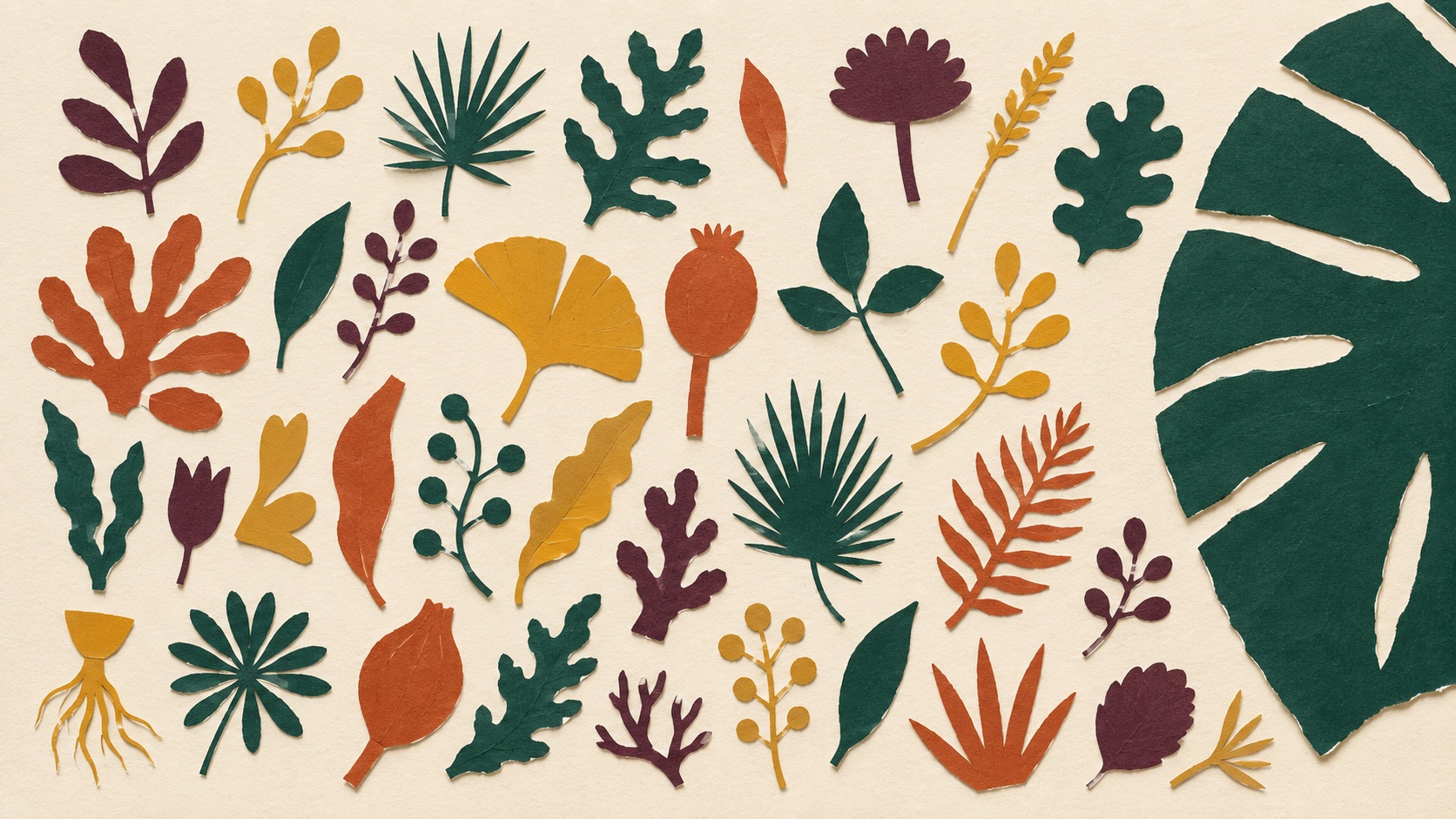 Dr. Megan Rossi: The Gut Health Doctor, Lab to Supermarket