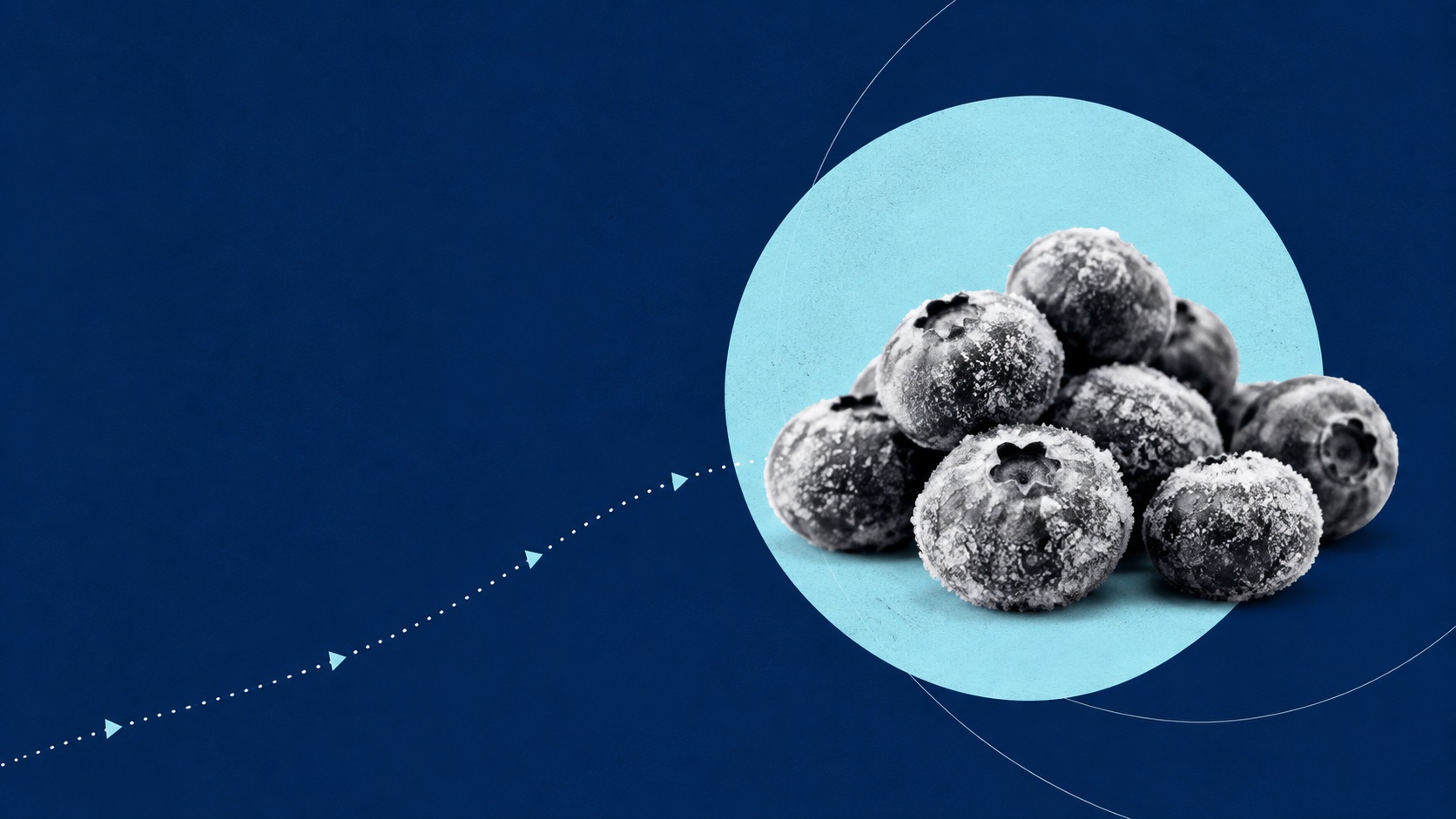The Frozen Blueberry E. coli Outbreak Is Over: 17 Sick, 6 Hospitalized, No Deaths Counted. The Recalled Bags Are Dated Into 2028