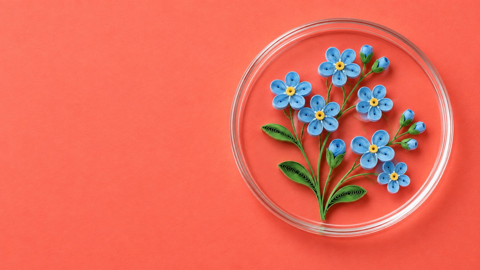 A Gut Molecule Was Tied to Alzheimer’s. In People It’s a Pattern; the Cause Was Shown in Mice