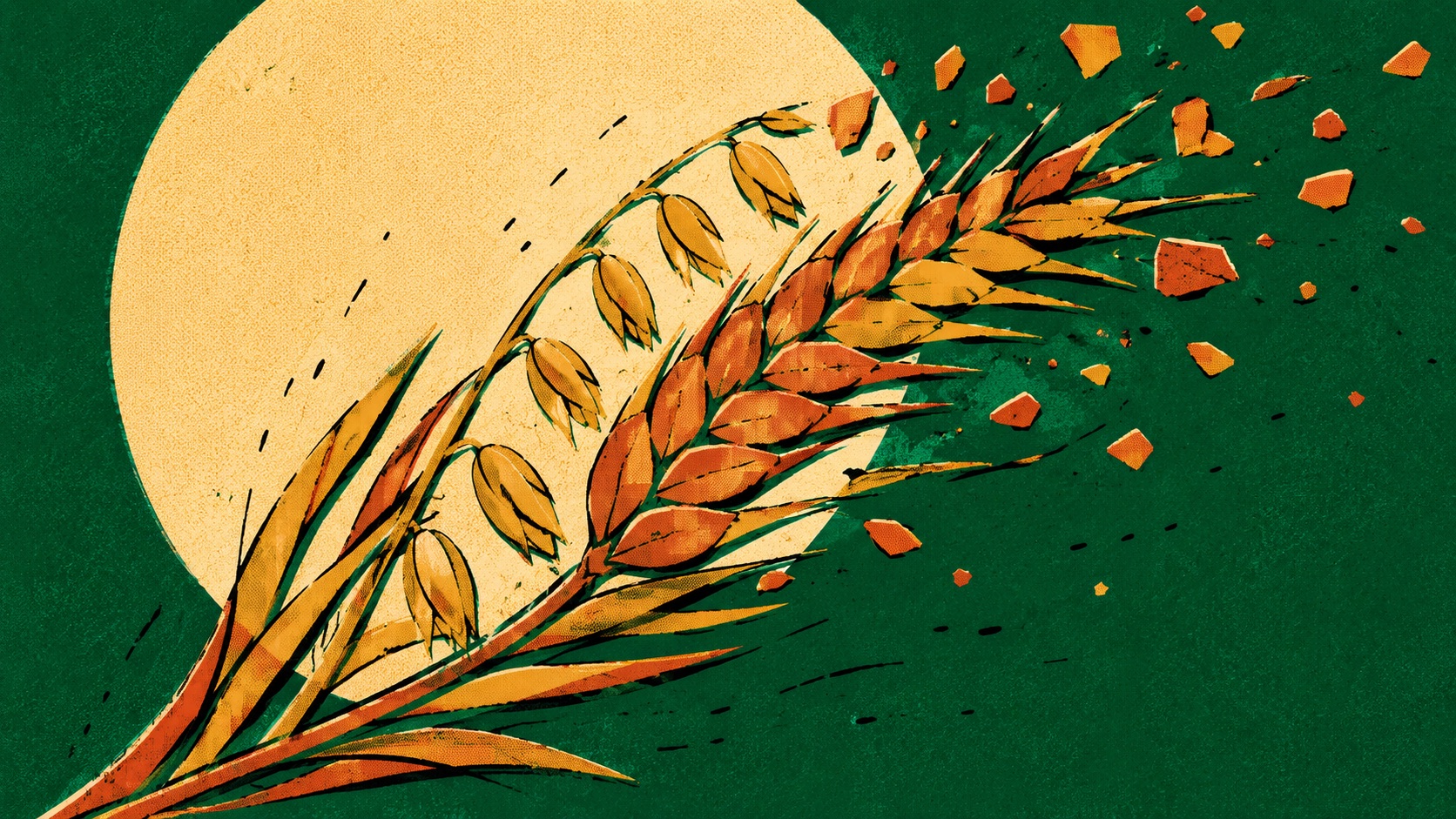 Kristen Stavridis: The Nutritionist Who Made Fibre the Main Character