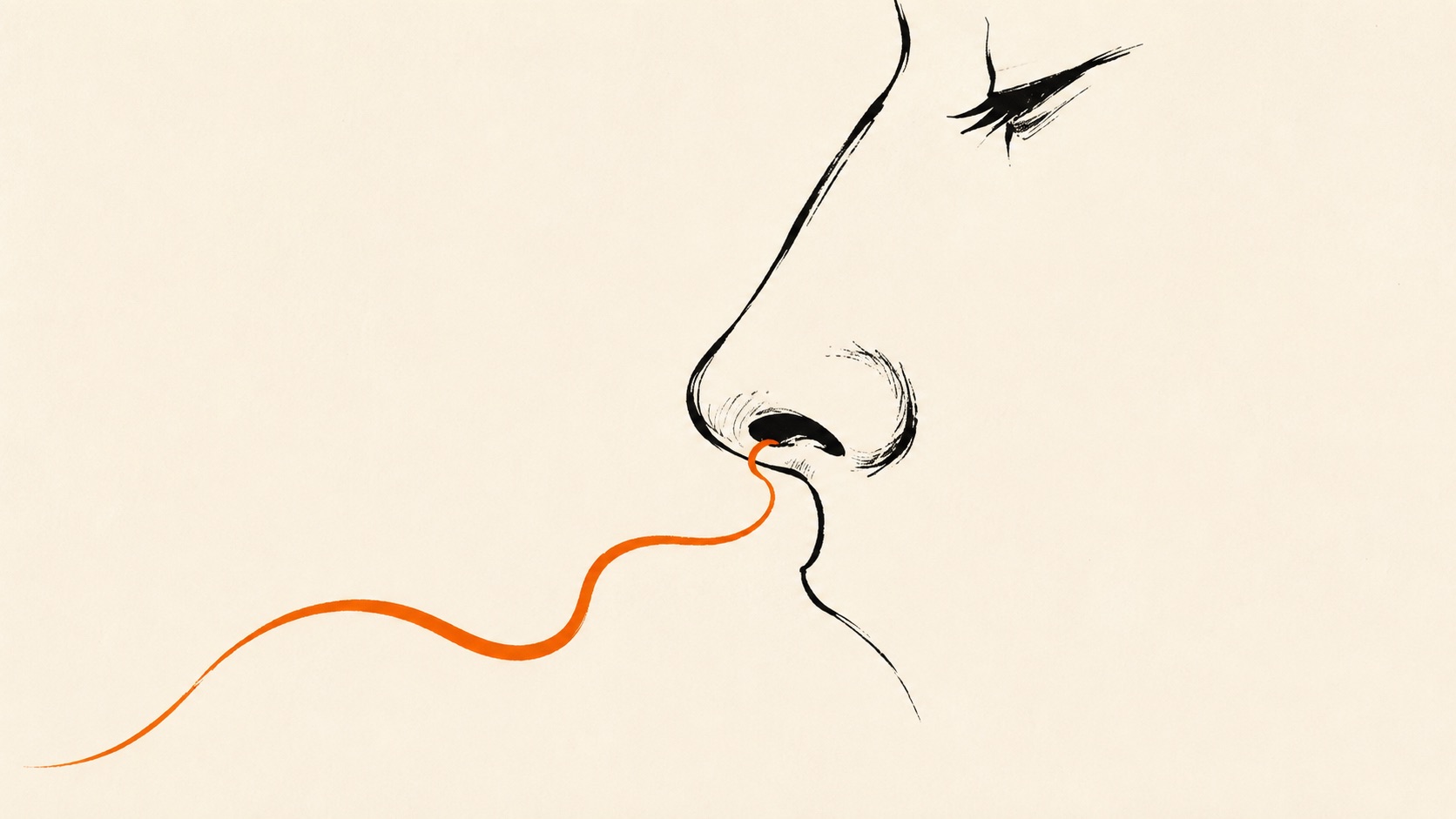 The Poop Smell Decoder: Sulfur, Ammonia, Sour, and the Rest
